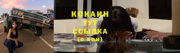 прущий лед Алзамай