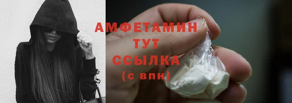 прущий лед Алзамай