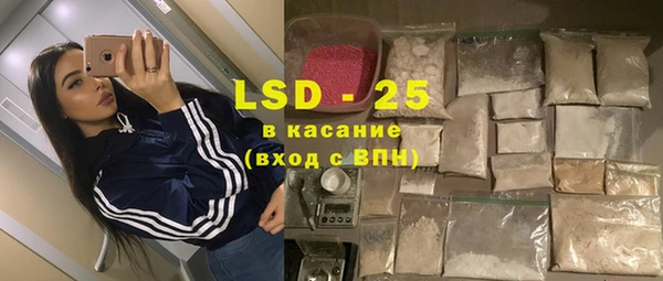 прущий лед Алзамай